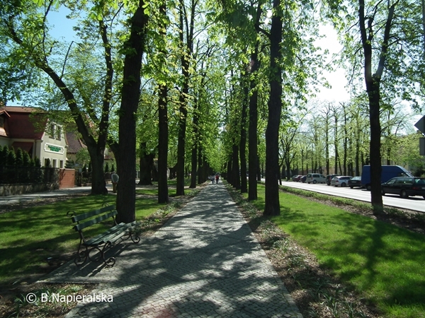 Miedzychód wiosna